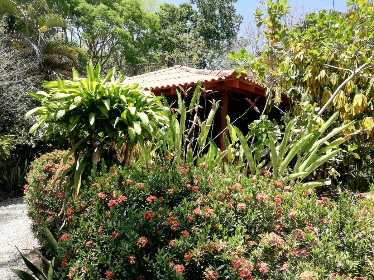 Bed and Breakfast Mundo Goub'Art Cabuya  Exteriér fotografie