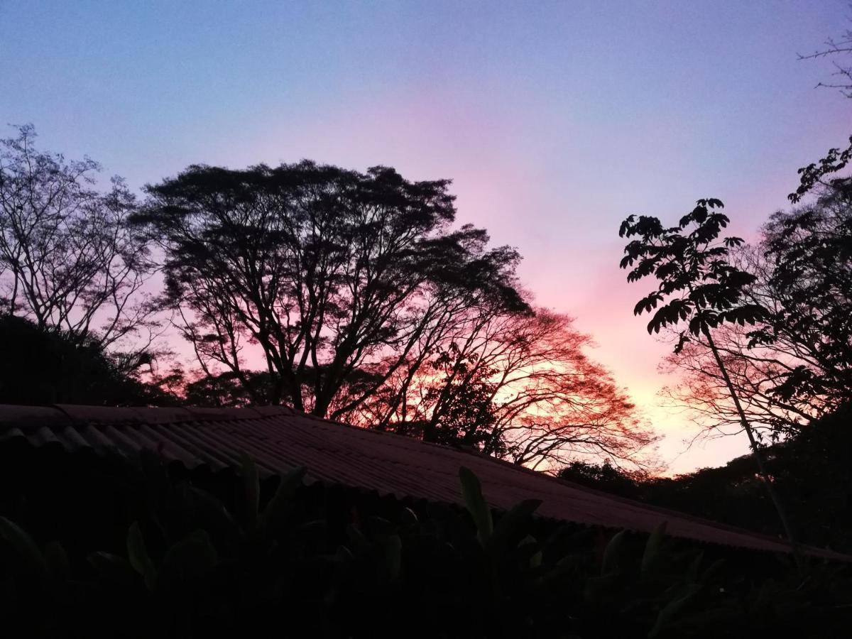 Bed and Breakfast Mundo Goub'Art Cabuya  Exteriér fotografie